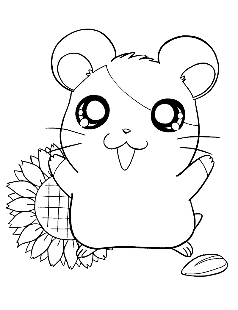 Coloriage Hamtaro Au Tournesol