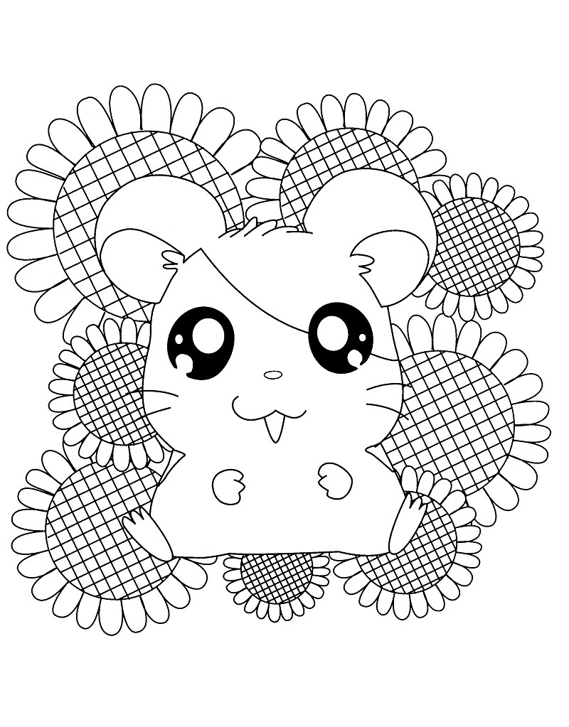 Coloriage Hamtaro 13