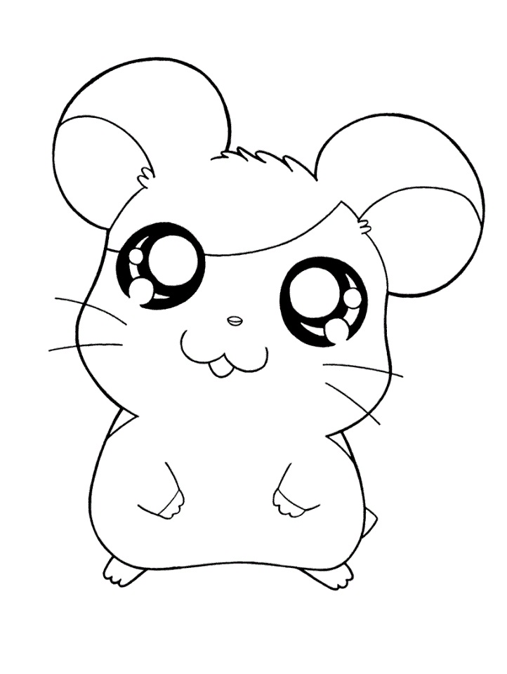 Coloriage Hamtaro Mignon