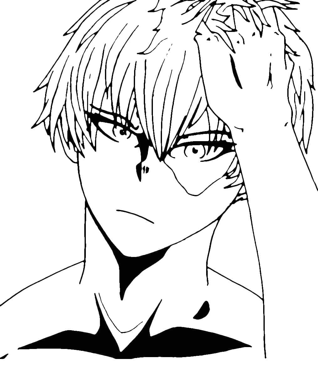 Coloriage Beau Shoto Todoroki