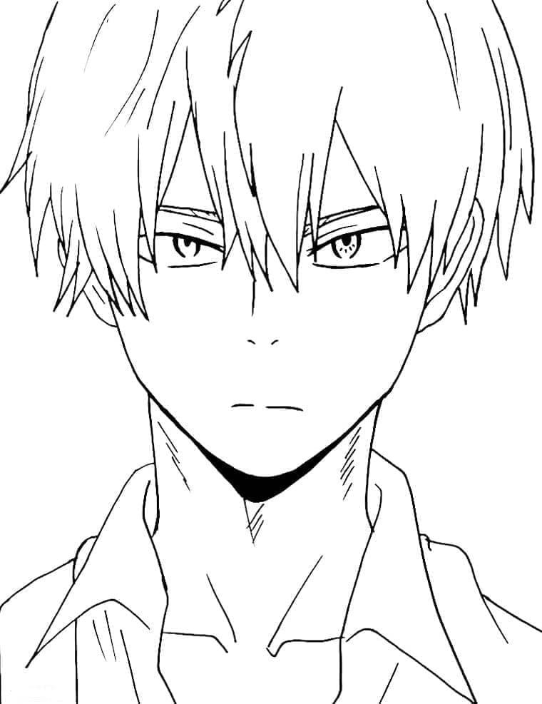 Coloriage Photo de Shoto Todoroki