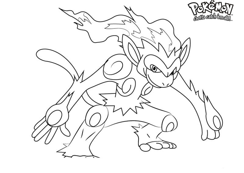 Coloriage Pokémon Monferno 4