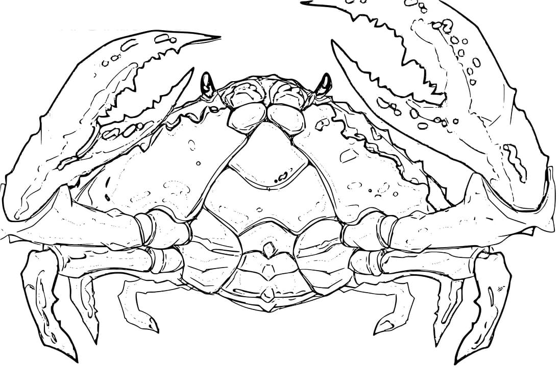 Coloriage Akutagawa Crabe